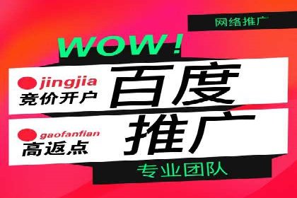 竞价推广代运营服务，助力企业快速扩张